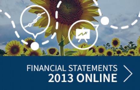 Financial Report 2013