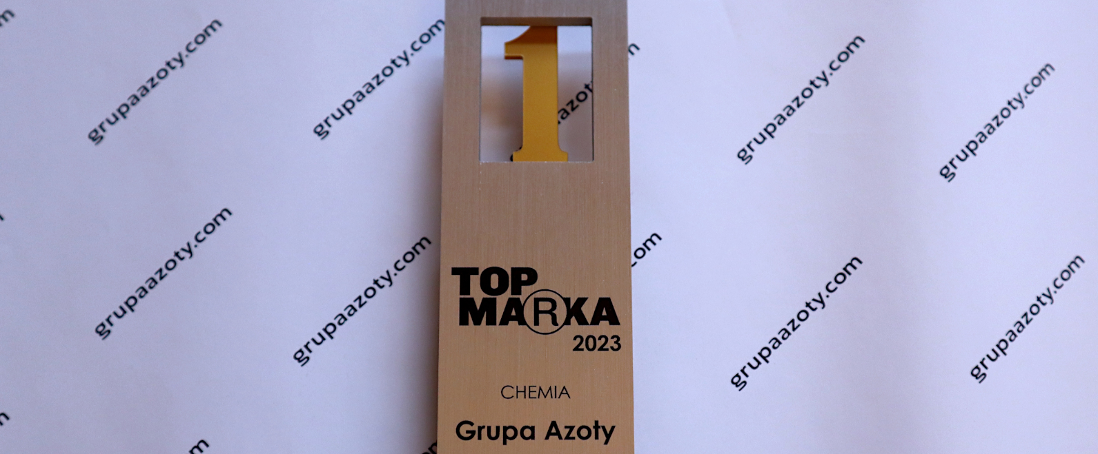 Top Brand 2023 – Grupa Azoty secures top spot as the strongest chemical brand 