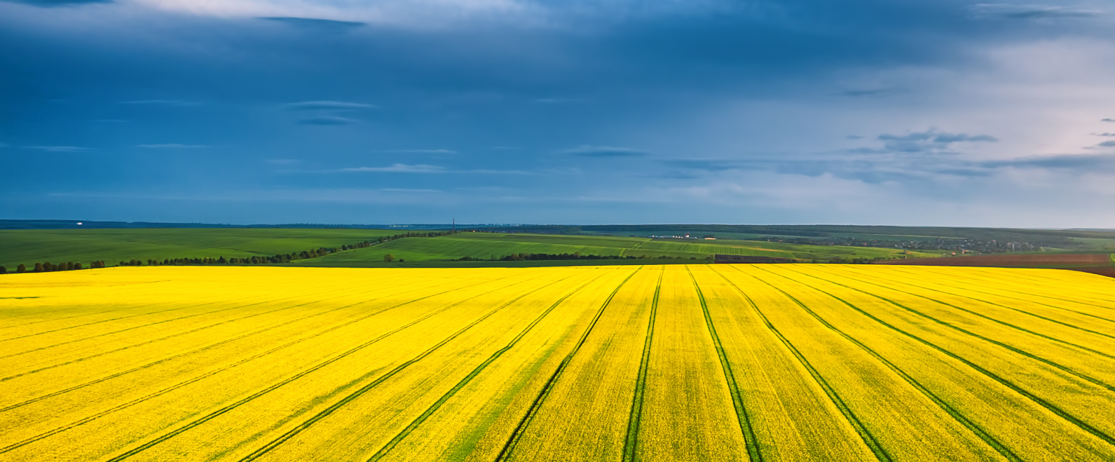 Grupa Azoty rozwija segment nawozowy  i rozszerza portfolio o nowy produkt z siarką